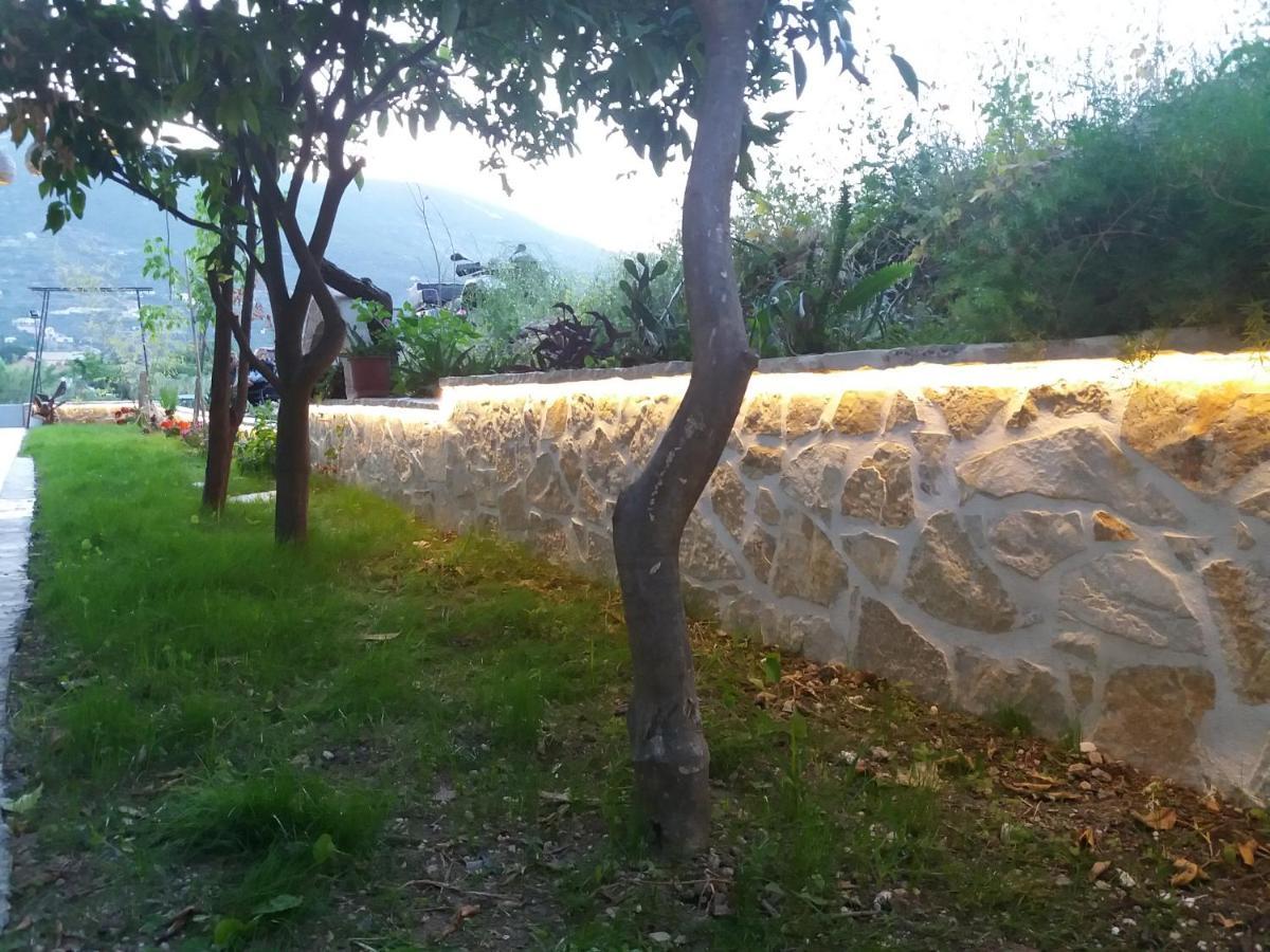 Akrotiri Vasiliki  Exterior photo